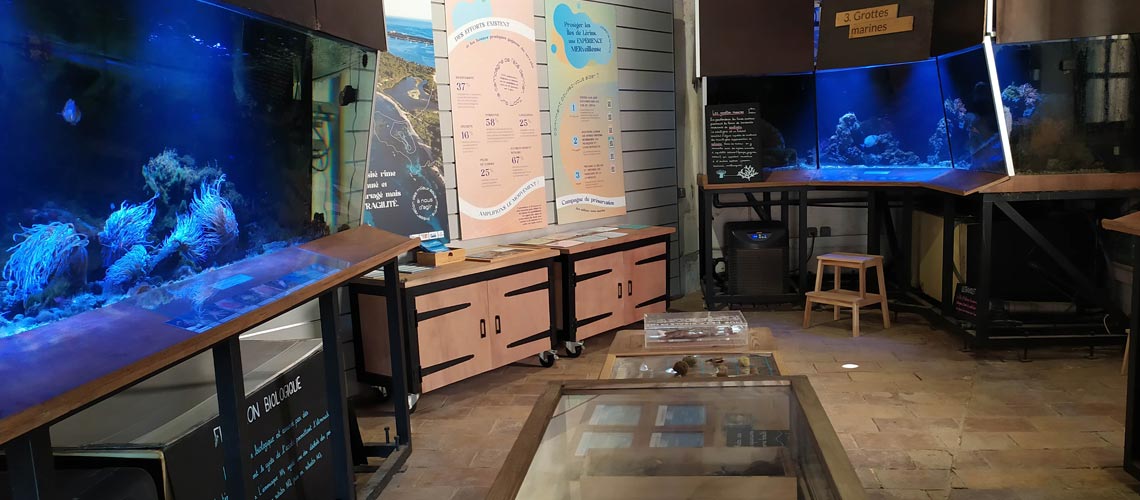 Centre Permanent d’Initiatives pour l’Environnement (CPIE) des Iles de Lérins & Pays d’Azur